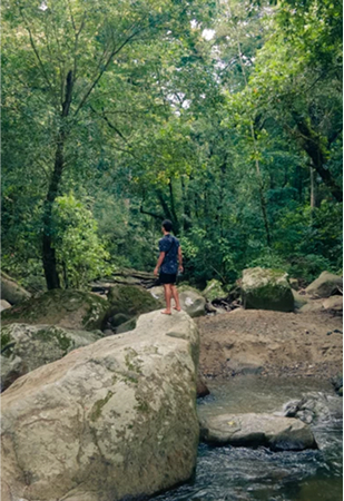 Naturaleza