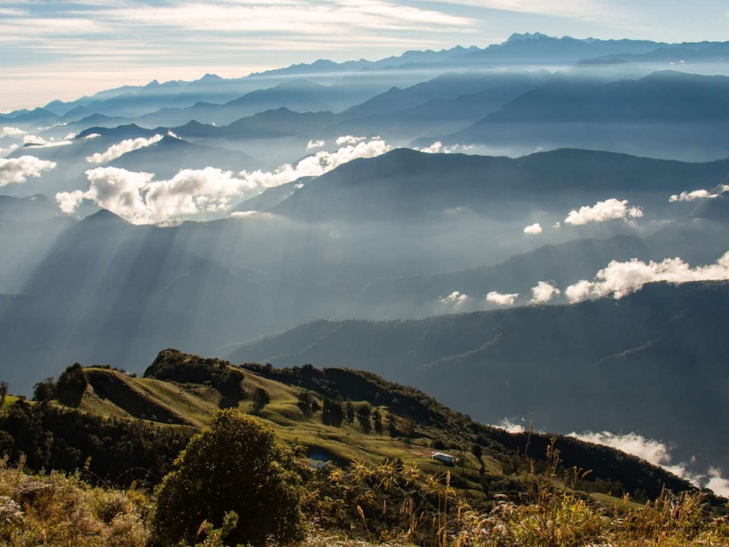 birdwatching in colombia